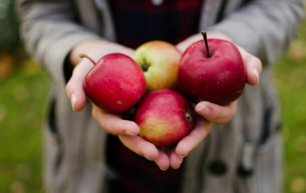 яблука - традиційний фрукт мабона